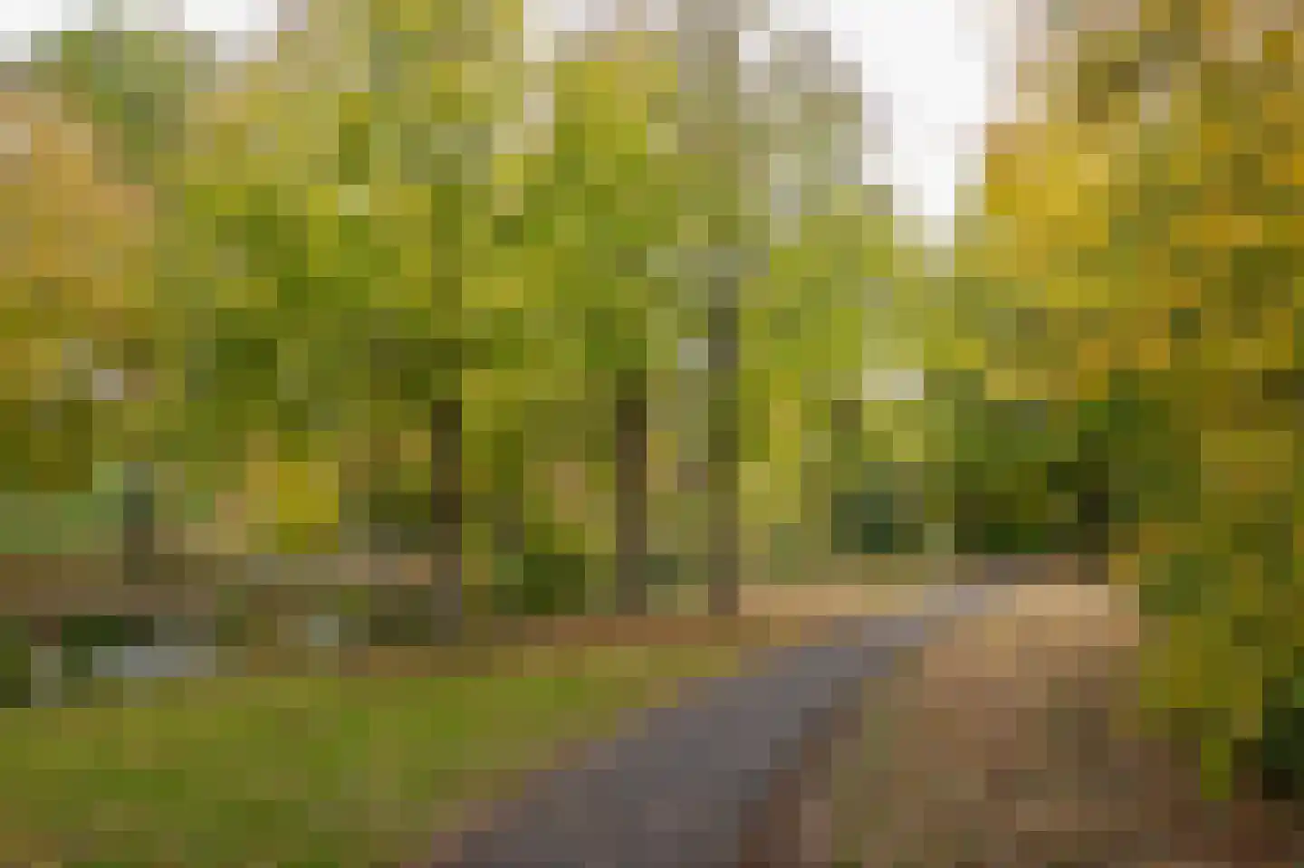 Olieslagersstraat 13 Roermond thumbnail 31