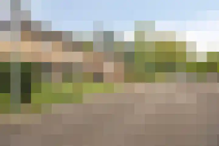 Olieslagersstraat 23 Roermond thumbnail 22