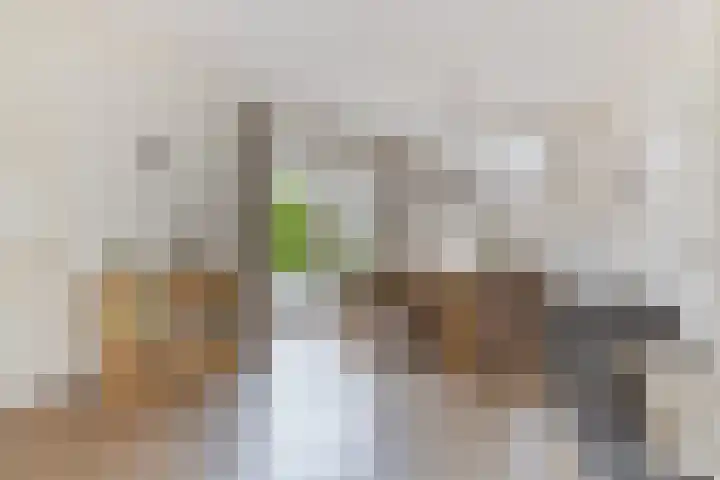 Olieslagerstraat 33 Sevenum thumbnail 14