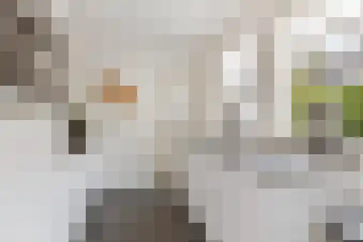 Olieslagerstraat 33 Sevenum thumbnail 17