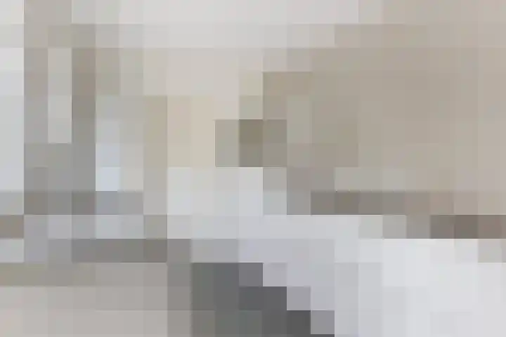 Olieslagerstraat 33 Sevenum thumbnail 18