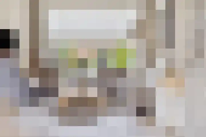 Olieslagerstraat 33 Sevenum thumbnail 21