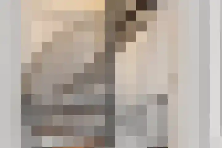 Olieslagerstraat 33 Sevenum thumbnail 23