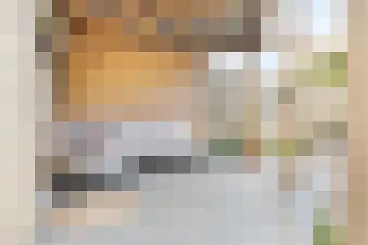 Olieslagerstraat 33 Sevenum thumbnail 37