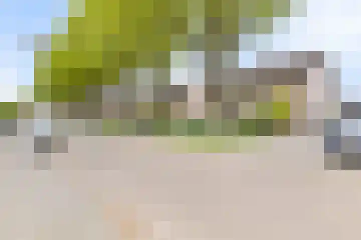 Olieslagerstraat 33 Sevenum thumbnail 6