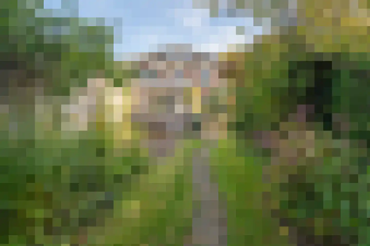 Olieslagweg 20 Enschede thumbnail 11