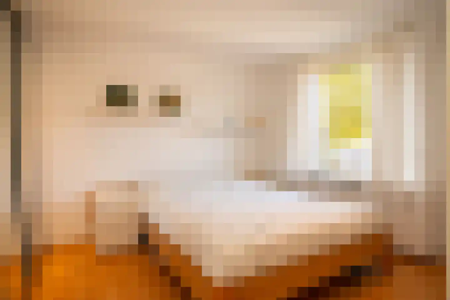 Olieslagweg 20 Enschede thumbnail 25