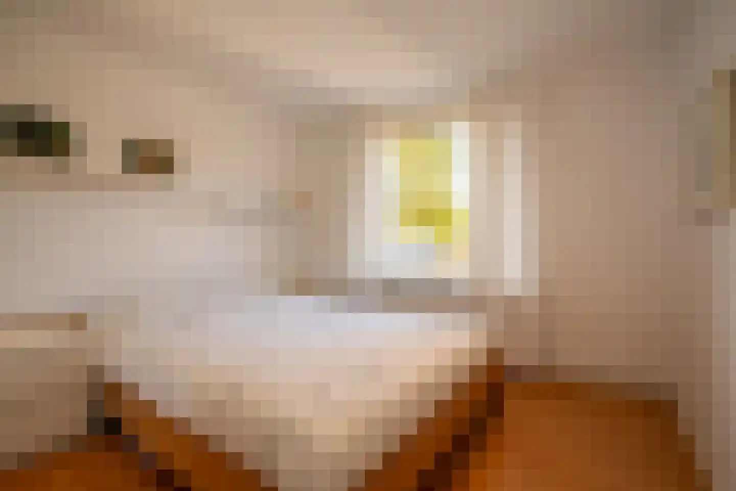 Olieslagweg 20 Enschede thumbnail 26