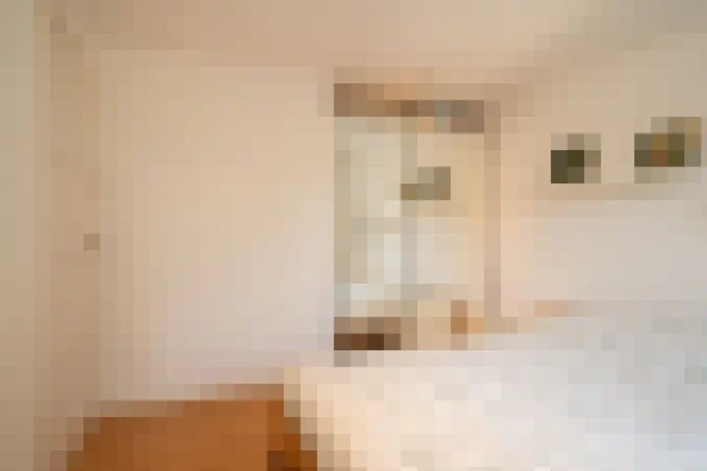 Olieslagweg 20 Enschede thumbnail 27