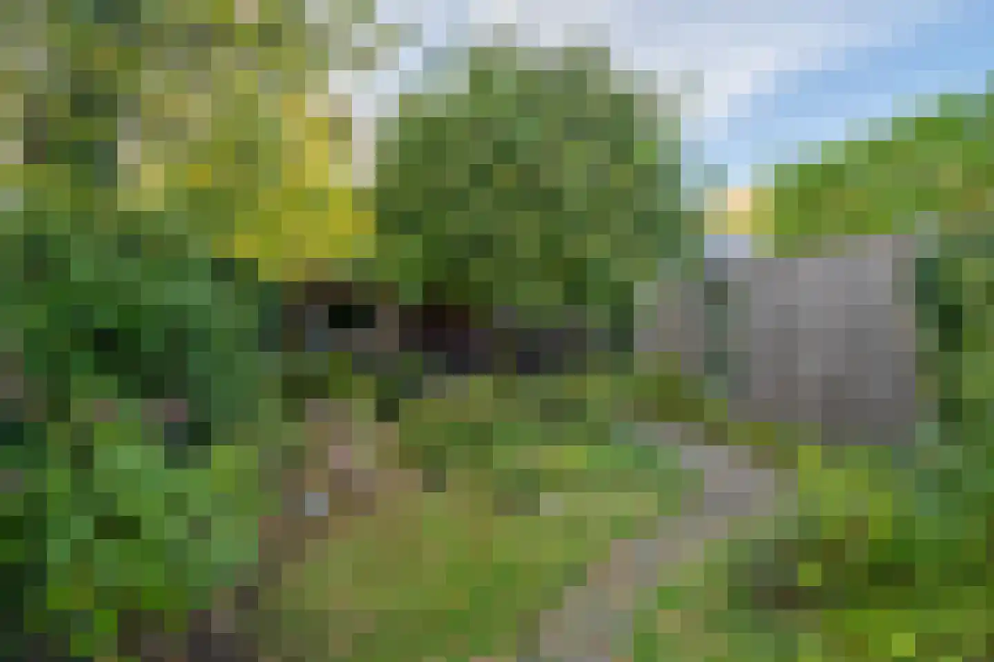 Olieslagweg 20 Enschede thumbnail 37