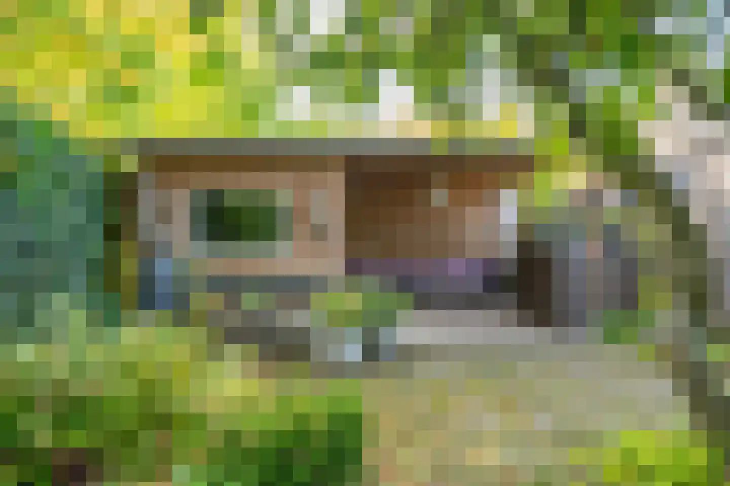 Olieslagweg 20 Enschede thumbnail 38