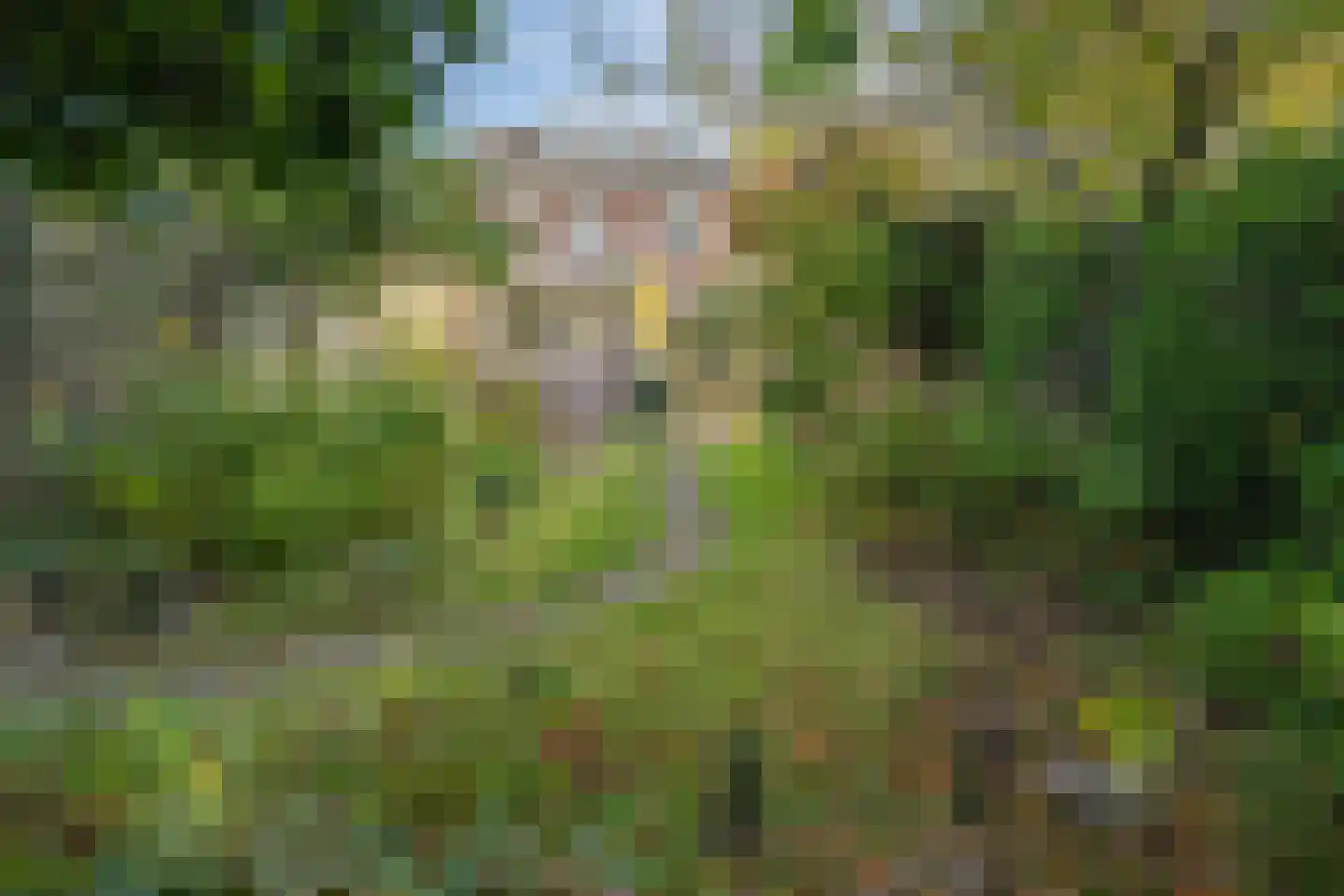 Olieslagweg 20 Enschede thumbnail 40