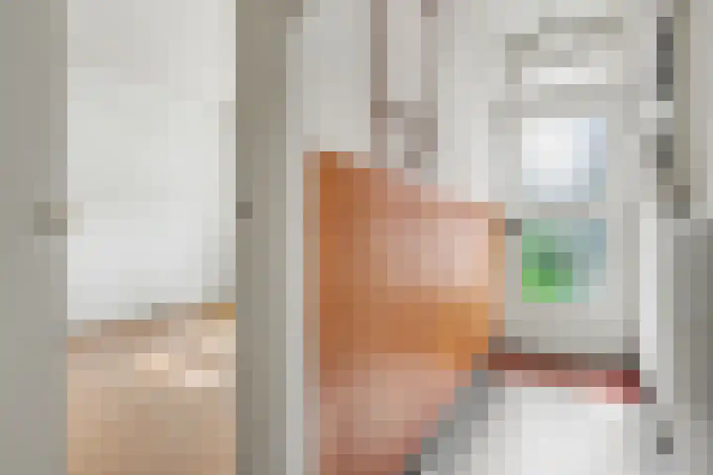 Olieslagweg 40 Enschede thumbnail 5