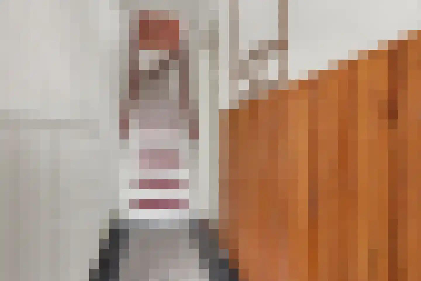 Olieslagweg 40 Enschede thumbnail 6