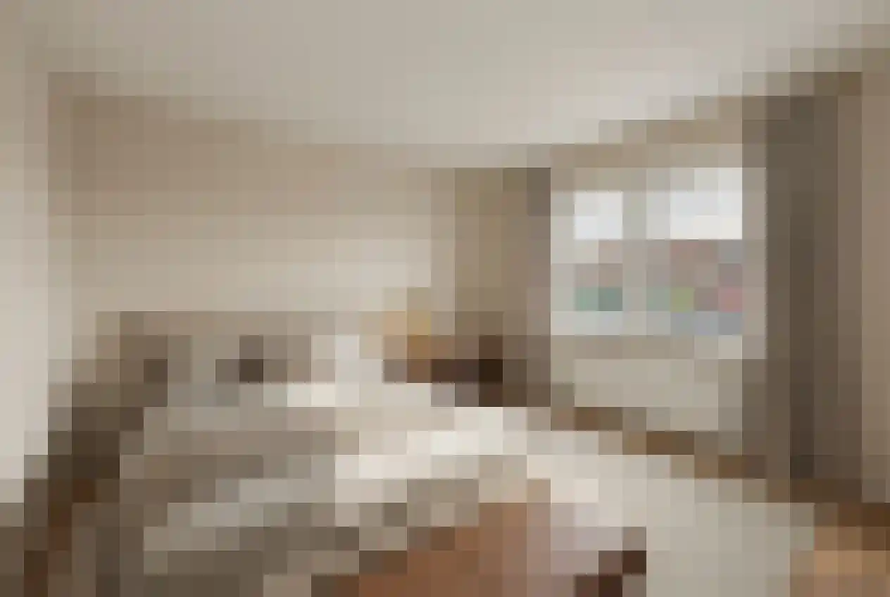 Olieslagweg 75 Enschede thumbnail 12
