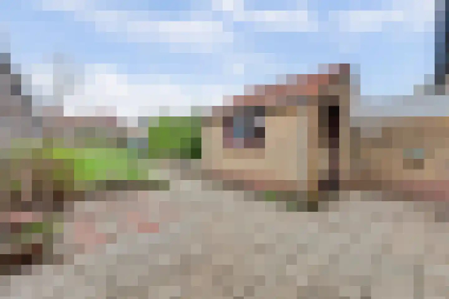 Olieslagweg 75 Enschede thumbnail 17
