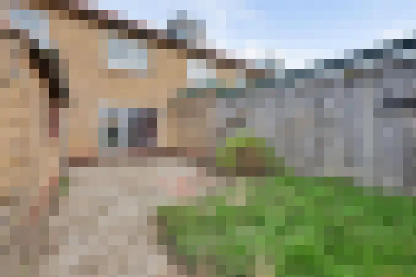 Olieslagweg 75 Enschede thumbnail 18