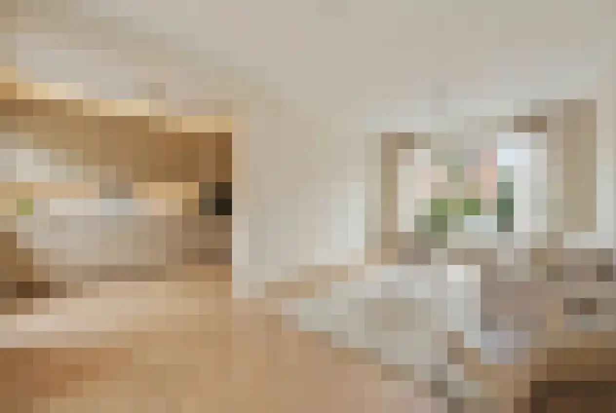 Olieslagweg 75 Enschede thumbnail 9