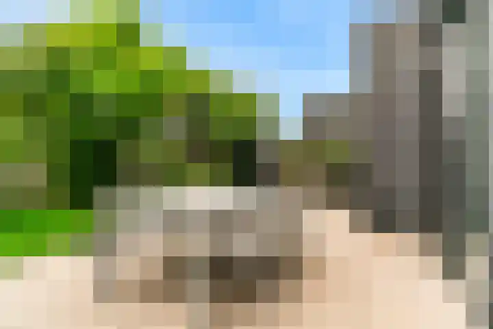 Oliesloot 6 Berkhout thumbnail 31