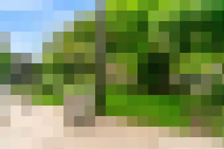 Oliesloot 6 Berkhout thumbnail 33