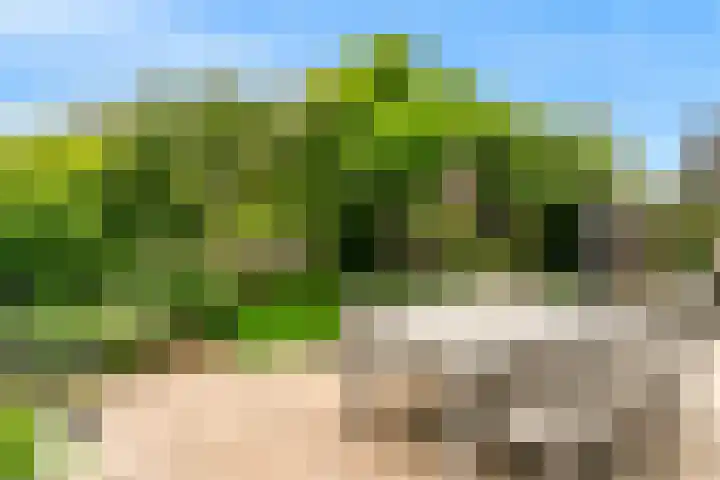 Oliesloot 6 Berkhout thumbnail 34