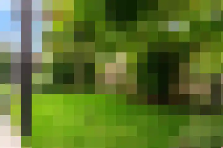 Oliesloot 6 Berkhout thumbnail 35