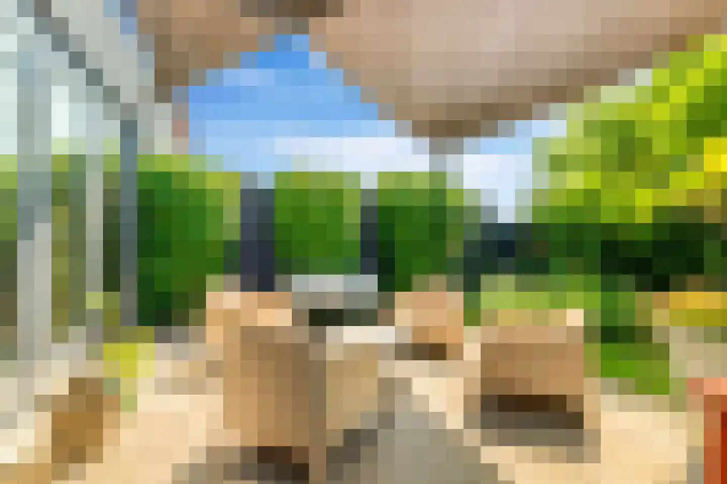 Oliesloot 6 Berkhout thumbnail 35
