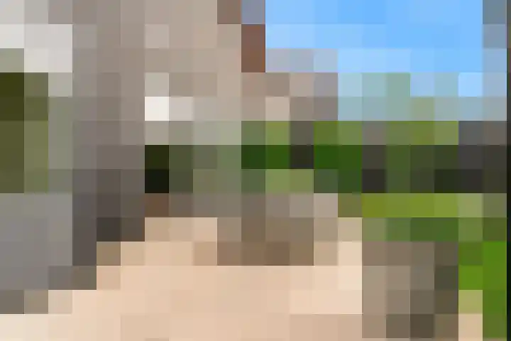 Oliesloot 6 Berkhout thumbnail 36