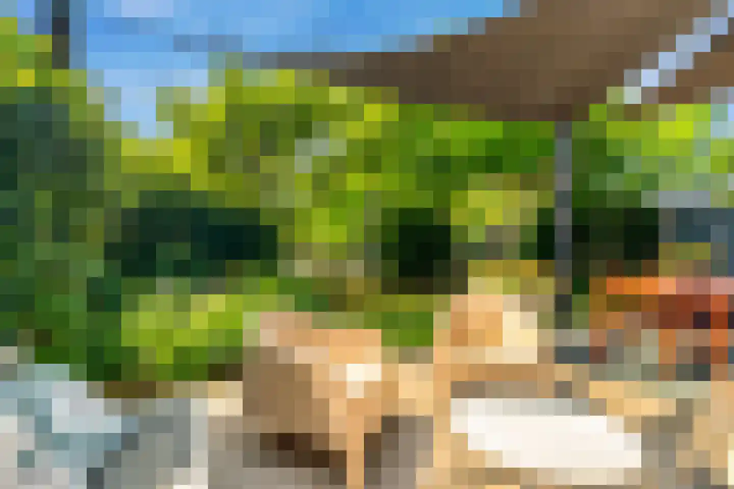 Oliesloot 6 Berkhout thumbnail 36