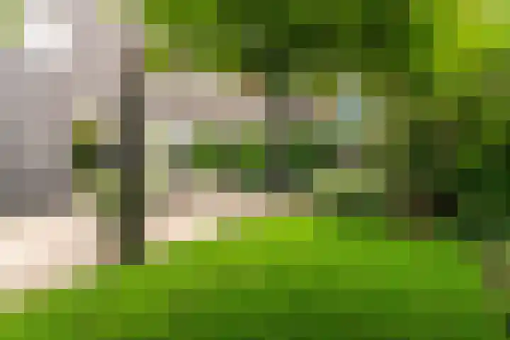 Oliesloot 6 Berkhout thumbnail 37