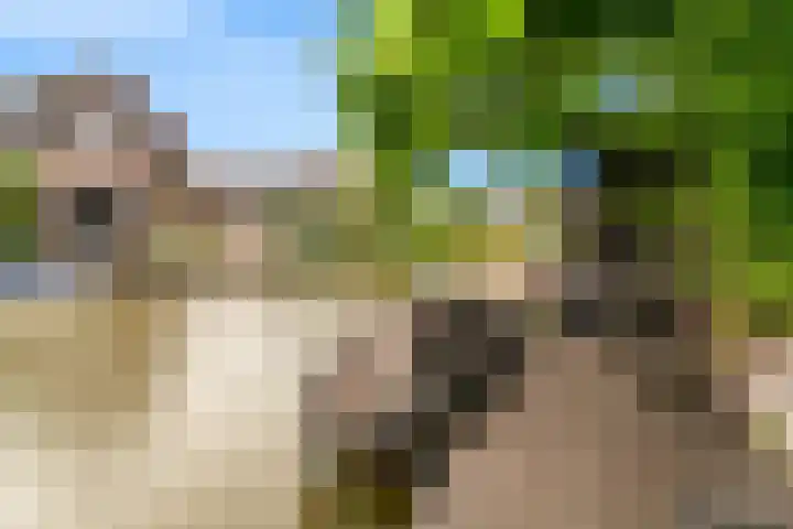 Oliesloot 6 Berkhout thumbnail 38