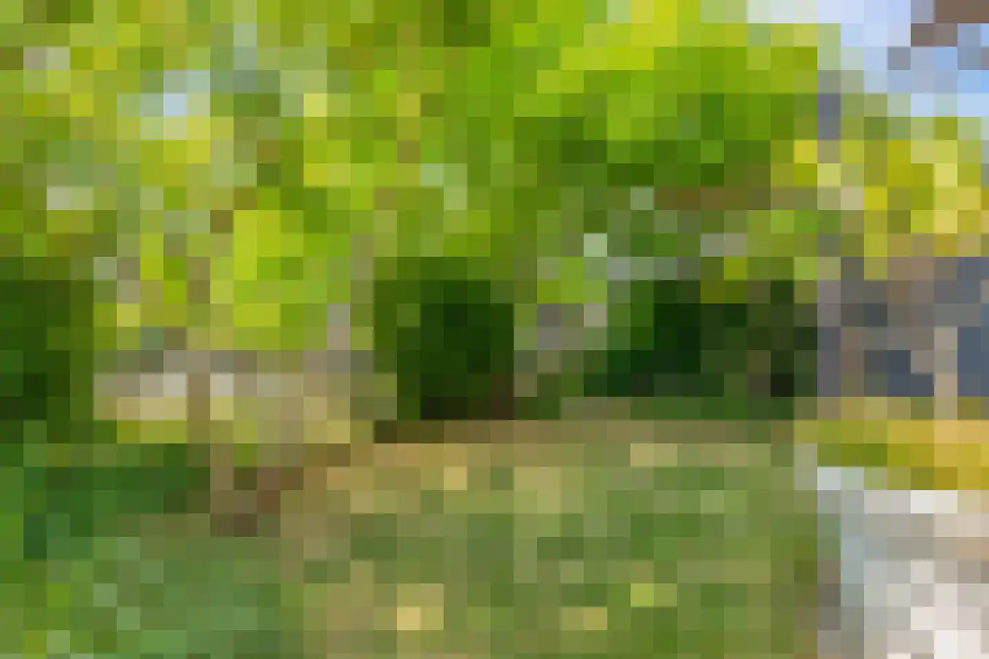 Oliesloot 6 Berkhout thumbnail 38