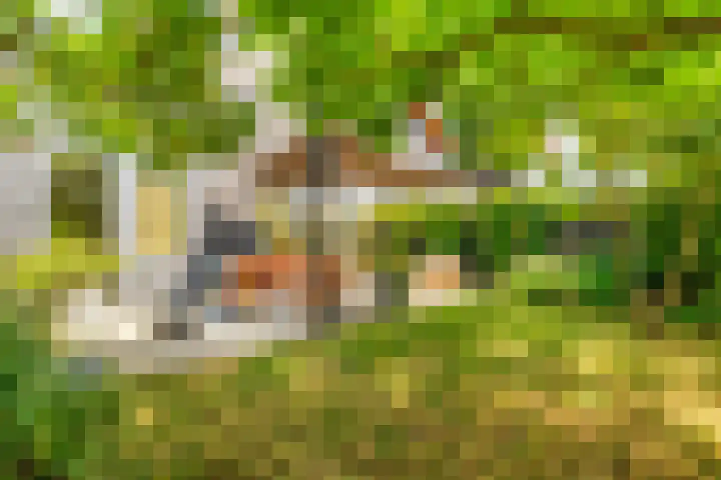 Oliesloot 6 Berkhout thumbnail 39
