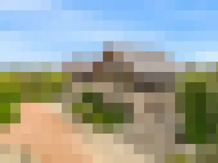 Oliesloot 6 Berkhout thumbnail 39