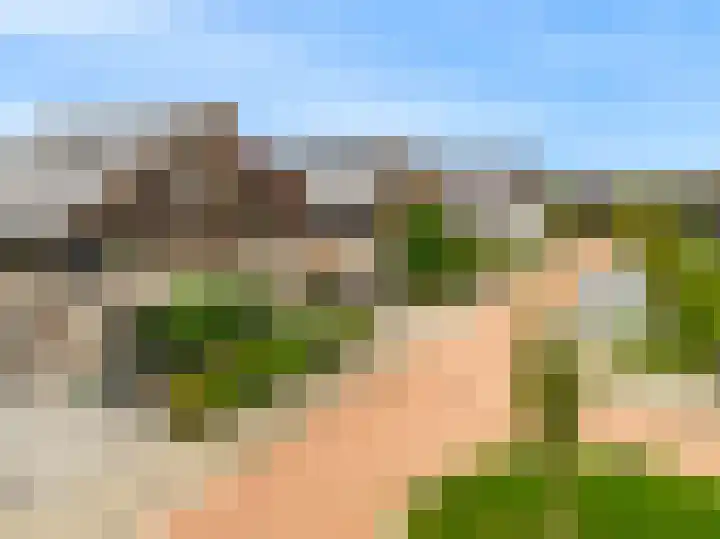 Oliesloot 6 Berkhout thumbnail 41