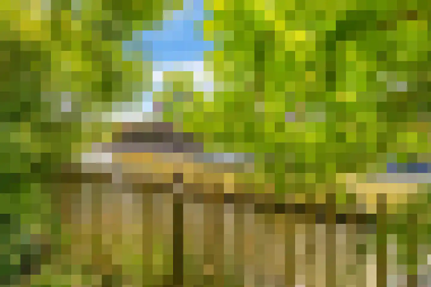 Oliesloot 6 Berkhout thumbnail 41