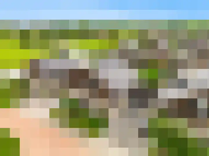 Oliesloot 6 Berkhout thumbnail 42