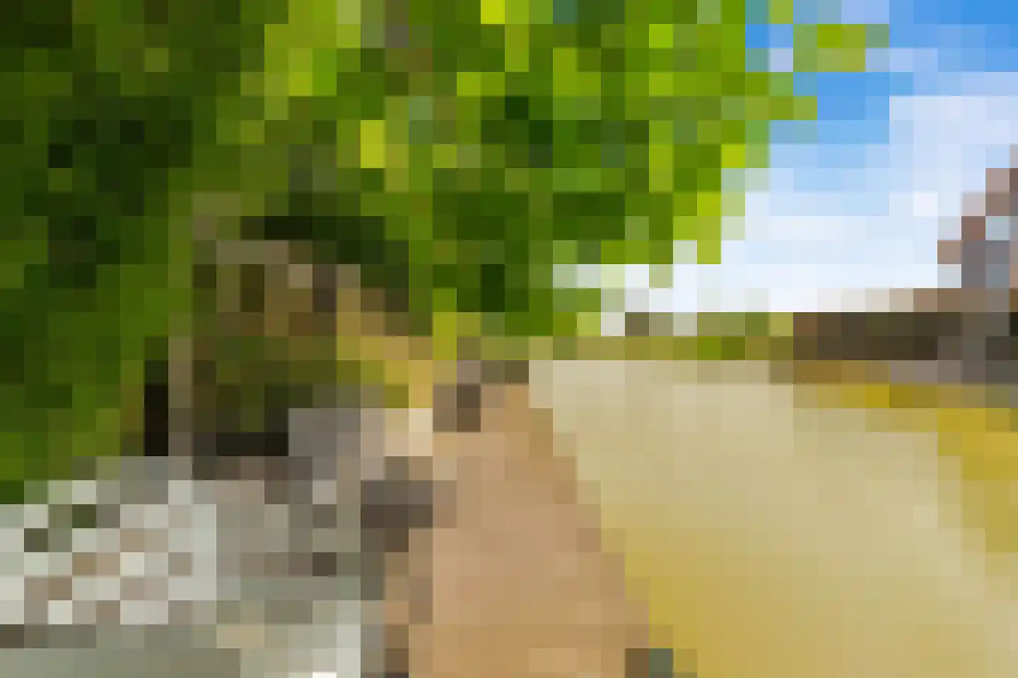 Oliesloot 6 Berkhout thumbnail 43