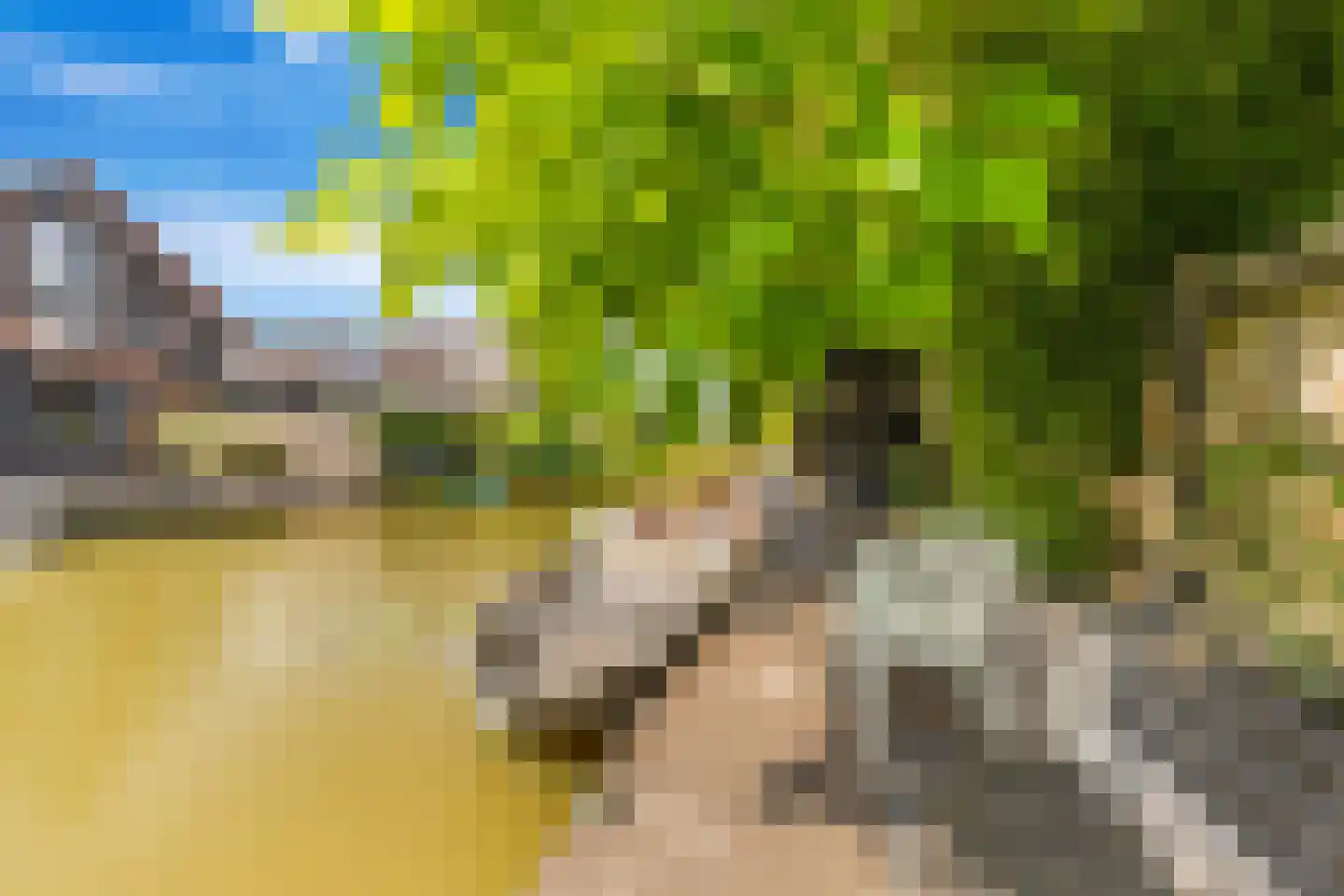 Oliesloot 6 Berkhout thumbnail 44