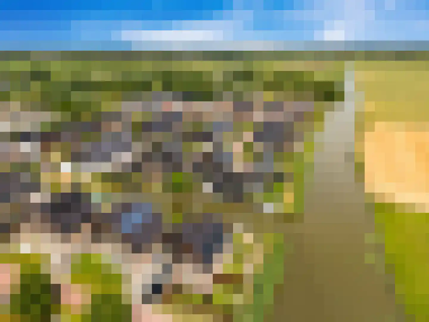 Oliesloot 6 Berkhout thumbnail 46
