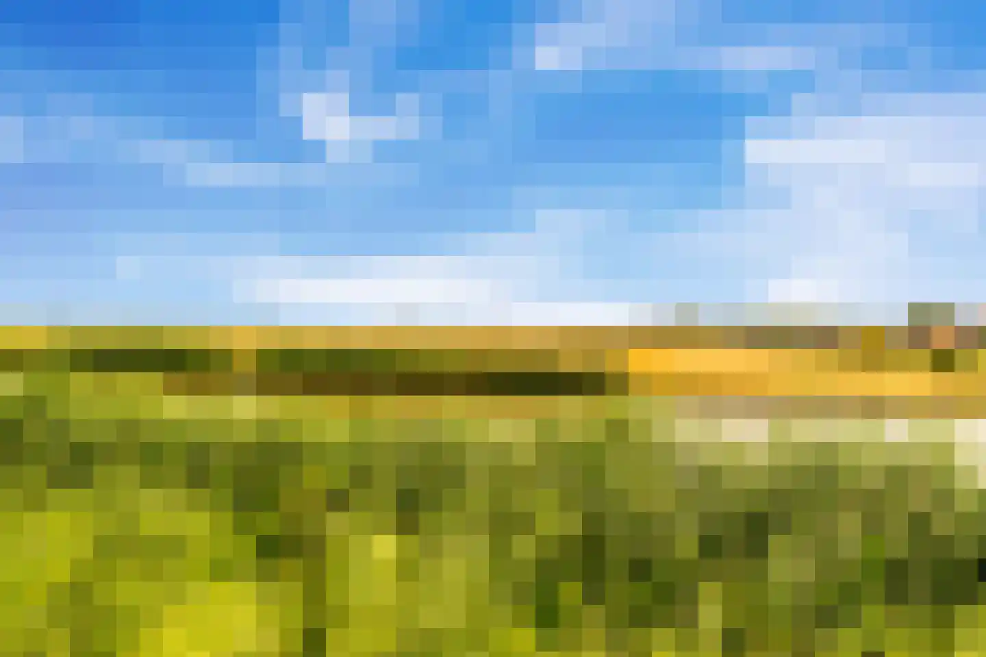 Oliesloot 6 Berkhout thumbnail 47