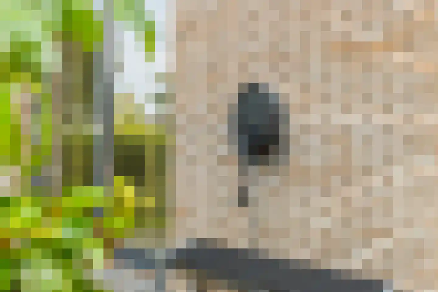 Oliesloot 6 Berkhout thumbnail 52