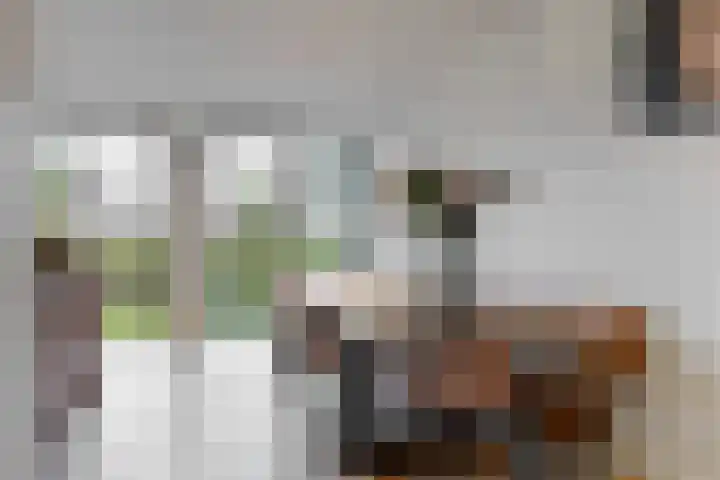 Oliesloot 6 Berkhout thumbnail 6