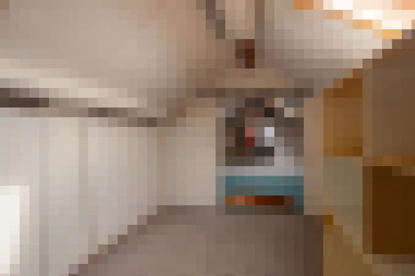 Oliesteenstraat 10 Maasbracht thumbnail 22
