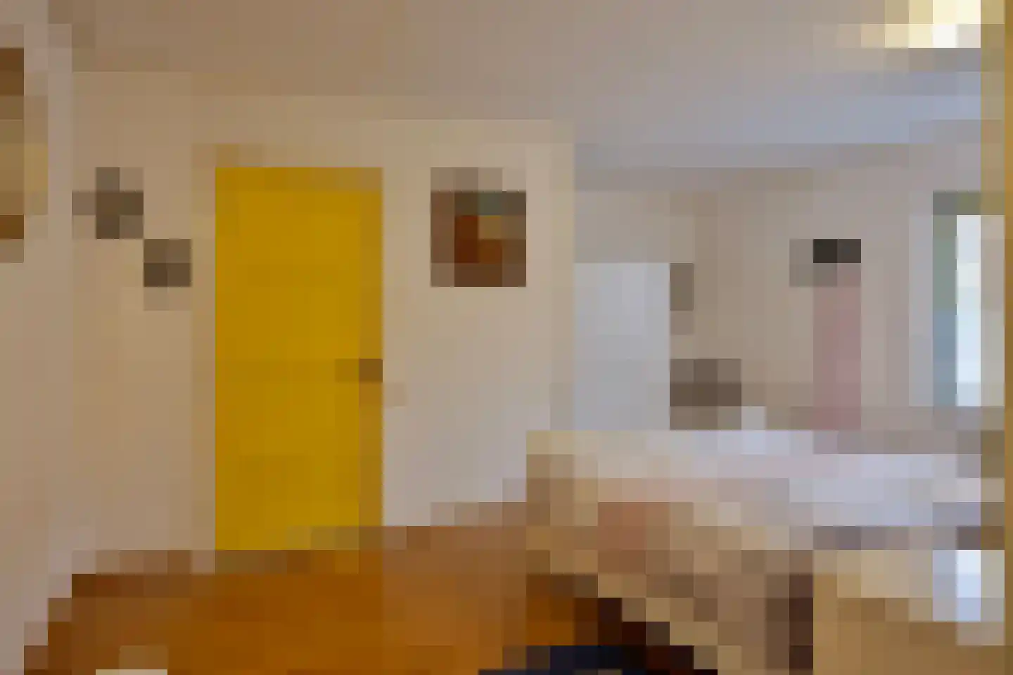 Oliestraat 22 Grave thumbnail 26