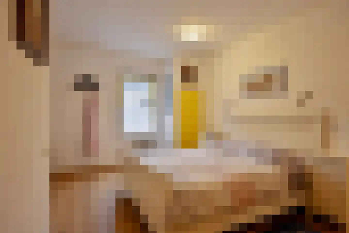 Oliestraat 22 Grave thumbnail 27