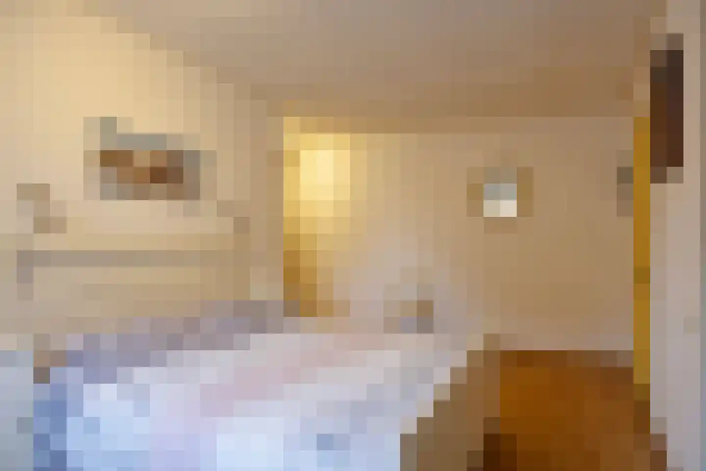 Oliestraat 22 Grave thumbnail 29