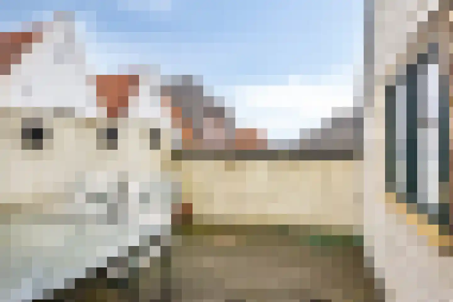 Oliestraat 22 Grave thumbnail 43