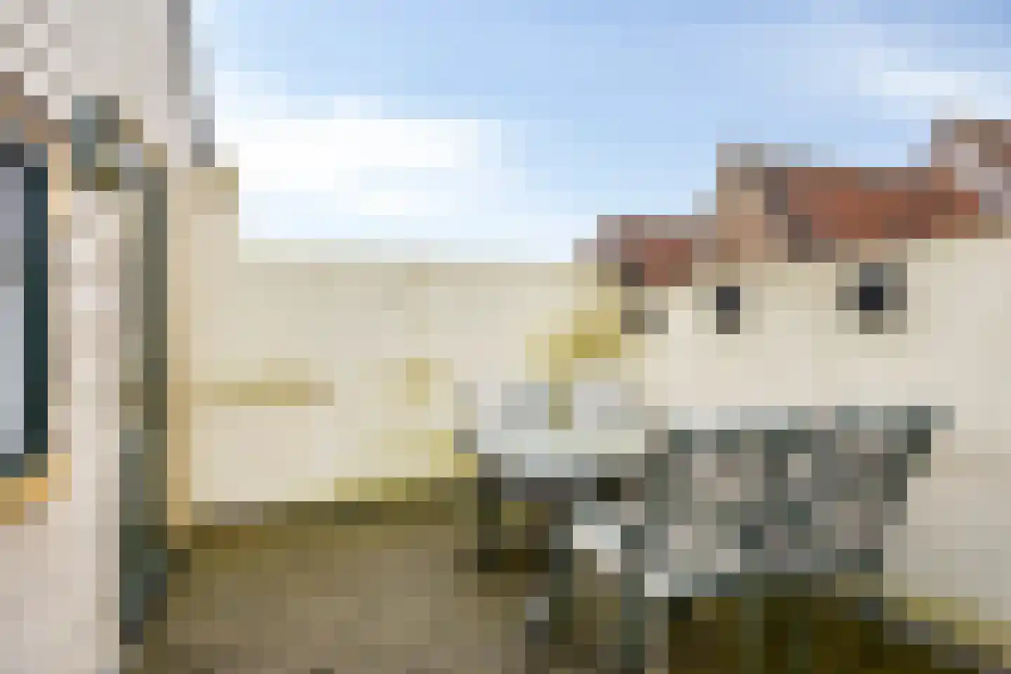 Oliestraat 22 Grave thumbnail 44