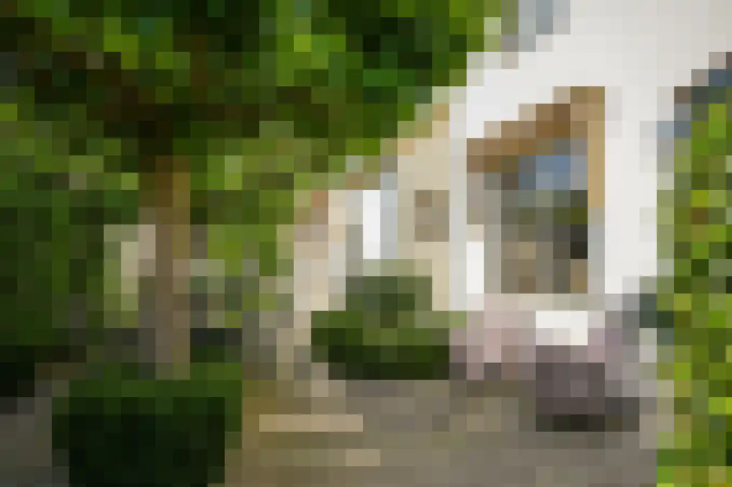 Oliestraat 8 Zaltbommel thumbnail 46